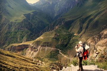3-Day Hike to Colca Canyon from Arequipa