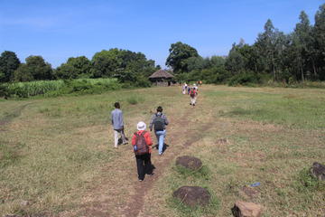 8-Day Cultural Tour through Ethiopia from Addis Ababa