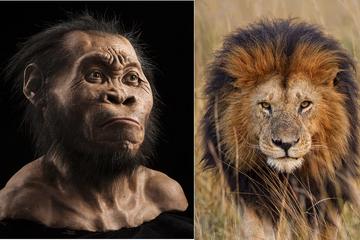 Cradle of Humankind Tour from Johannesburg