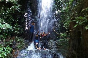2D1N Tour Rainforest Taman Negara (Waterfalls) - Elephant and Batu Caves