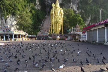 4 in 1 Day Tour Batu Caves Elephant Conservation Center Monkeys and Fireflies from Kuala Lumpur