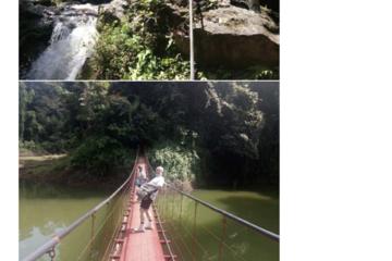5D4N Tour in Cameron Highlands - Belum Rainforest - Penang drop off