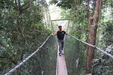 Full Day Taman Negara Tour with Batu Caves with Complimentary Dinner