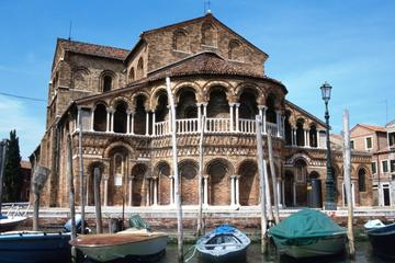 Half-Day Motorboat Cruise to Venice Lagoon Islands Murano and Burano