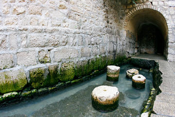 Guided Tour of Jerusalem: The Biblical City of David