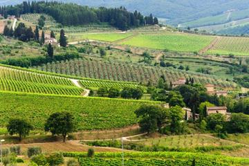 Private Tour: Chianti Region Round Trip Experience from Florence