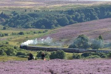 Steam Trains, Whitby, and the North York Moors Full-Day Tour from York
