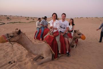 Jaisalmer Sunset Camel Ride with Dinner and Private Transfers