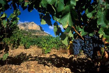 Private Priorat Wine Tour from Barcelona