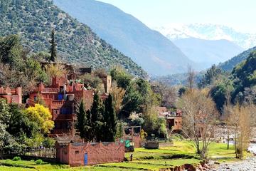 4-Hour High Atlas Mountains and Berber Life Experience Guided Tour from Marrakech