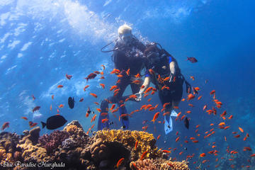 Red Sea Full-Day Introduction to Scuba Diving