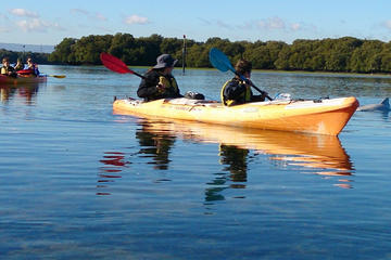 Dolphin Sanctuary and Ships Graveyard Kayaking Adventure from Adelaide