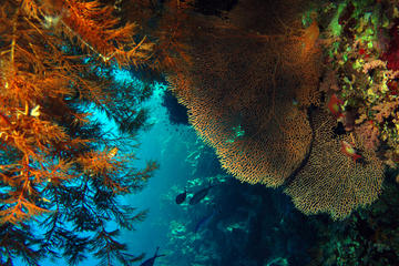 2 Day Dive Package