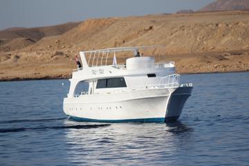 Private Boat Cruise with BBQ and Snorkeling