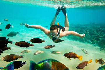 Cabo San Lucas Shopping, Tequila Tasting, and Snorkel Tour