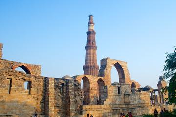 Delhi in a Day Custom Private Tour