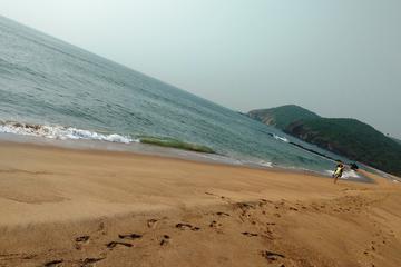 Full day Private tour of Vizag