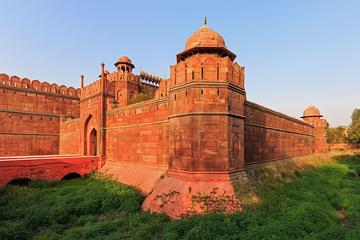 Half Day Old Delhi Walking tour and Red Fort Visit