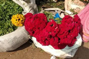 Morning tour of Kolkata with Flower Market