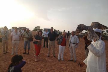 Dubai Morning Tour and Afternoon Desert Safari with BBQ dinner