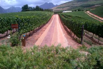 Full-Day Cape Town Based Wine Safari with Wine Pairing and Franschhoek Motor Museum Experience