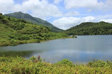 Dominica Half-Day Tour: Freshwater Lake, Middleham Falls, Ti Kwen Glo Sho
