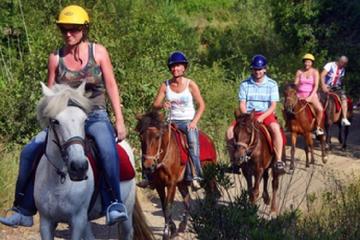 Horse Safari in Ghost Town