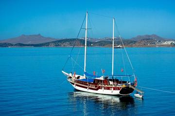 Private Boat Trip Around Sides Bay