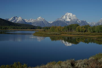 Grand Teton Wildlife Tour