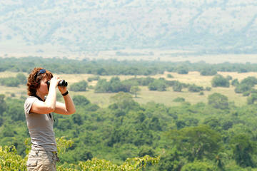4 Days Luxury Wildlife Safari