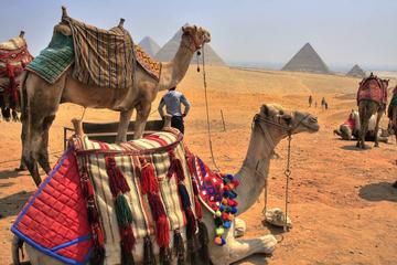 17-Night Jordan and Egypt Highlights with Nile Cruise, Red Sea