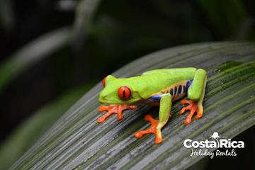 Carara National Park