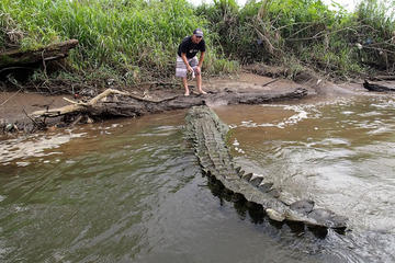 Crocodile Tour