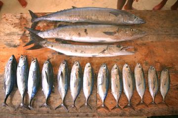 Fishing Tour in Cartagena