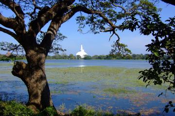 Anuradhapura Private Day Trip from Colombo, Negombo, or Katunayaka