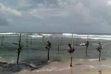 Arrival Transfer - Colombo Airport to Hikkaduwa - Galle - Unawatuna Hotels