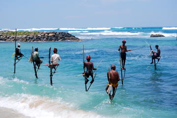 Galle Full-Day Tour