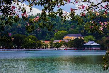 Kandy Day Tour from Colombo