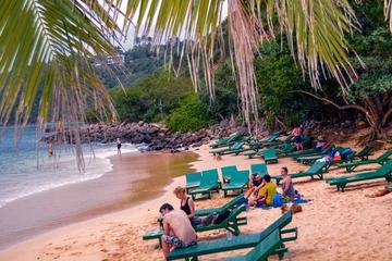 Weligama, Jungle Beach, Galle, and Turtle Project Private Tour from Colombo