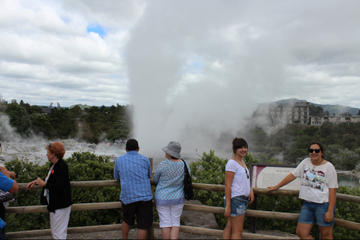 Tauranga Shore Excursion: Maori Culture, Kiwis, and Geo-Thermal Valleys in Tauranga