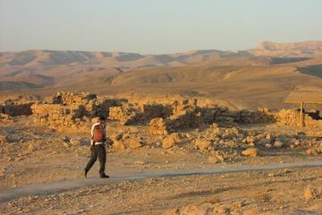 Dead Sea and Masada Private Tour from Tel Aviv