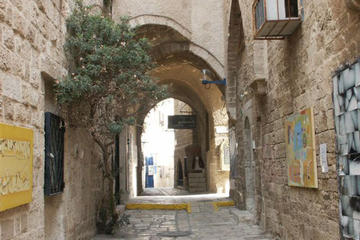 Tel Aviv Private Half Day Tour with Walking Tour