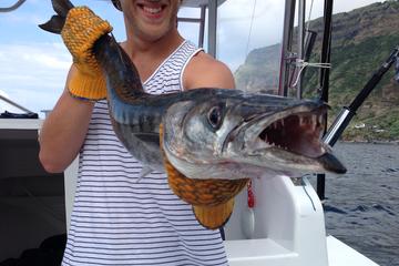 4h Half-Day Private Coastal Fishing