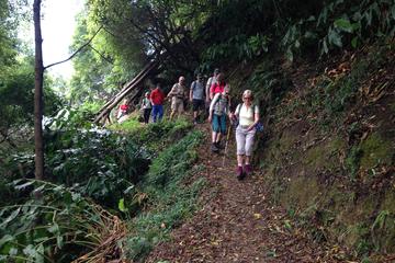 Walking Tour - Sanguinho
