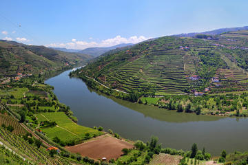 Porto Wine Tour Full Day
