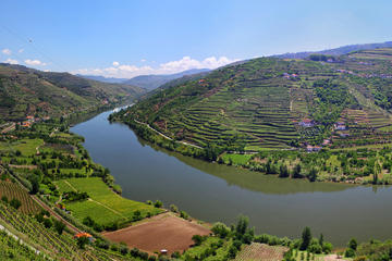 Porto Wine Tour Full Day in Shuttle