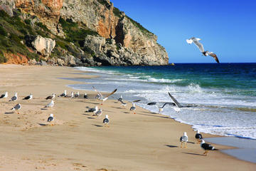 Sesimbra and Arrábida Natural Park Full Day Private Tour from Lisbon