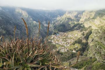 Small Group Half Day Tour of Madeira from Funchal with Pickup