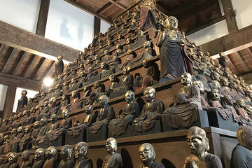 Ashikaga Day Tour: Visit the Oldest School and Historical Sites