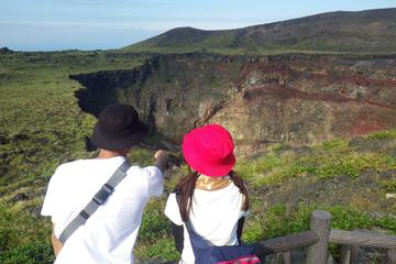 Half Day Geo Tour at Remote Volcanic Island in Tokyo